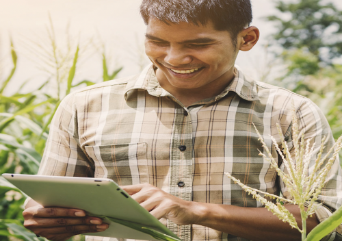 Asesoría y Capacitación Técnica