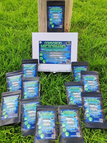 Degradador de materia orgánica