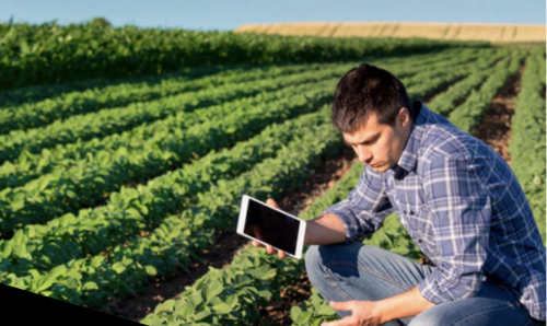Asesoría y Capacitación Técnica
